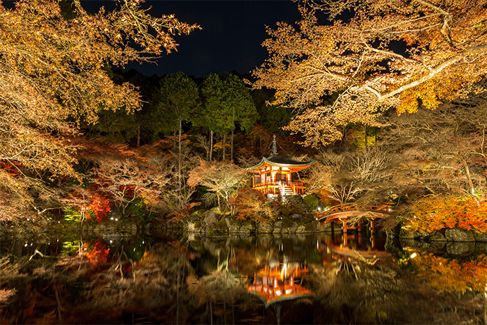 公園夜景亮化